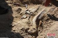 广西挖掘出距今16000年的人类头骨化石