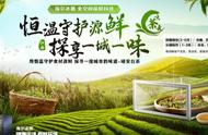 春茶储存技巧：轻松留住茶叶香气的实用方法