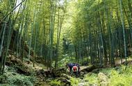 穿越江浙两省，探索1300年历史的茶圣陆羽紫笋茶古园地