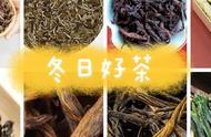 冬天必备：几款暖心茶饮推荐