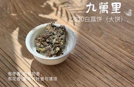 如何妥善收藏白茶？三个要点轻松掌握