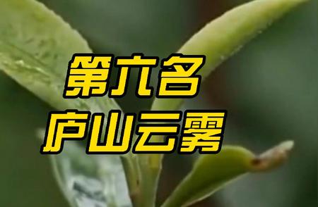 中国十大名茶庐山云雾的排名解析