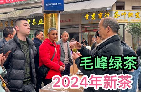 2024年毛峰绿茶定制新篇章：性价比之选，尝鲜正当时！