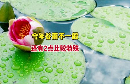 谷雨节气的特殊之处，你一定不知道的事实