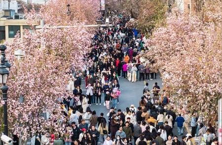 五大道地区限行新动态，时间范围权威发布！