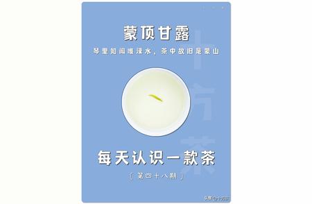 蒙顶甘露：第四十八期茶文化探索