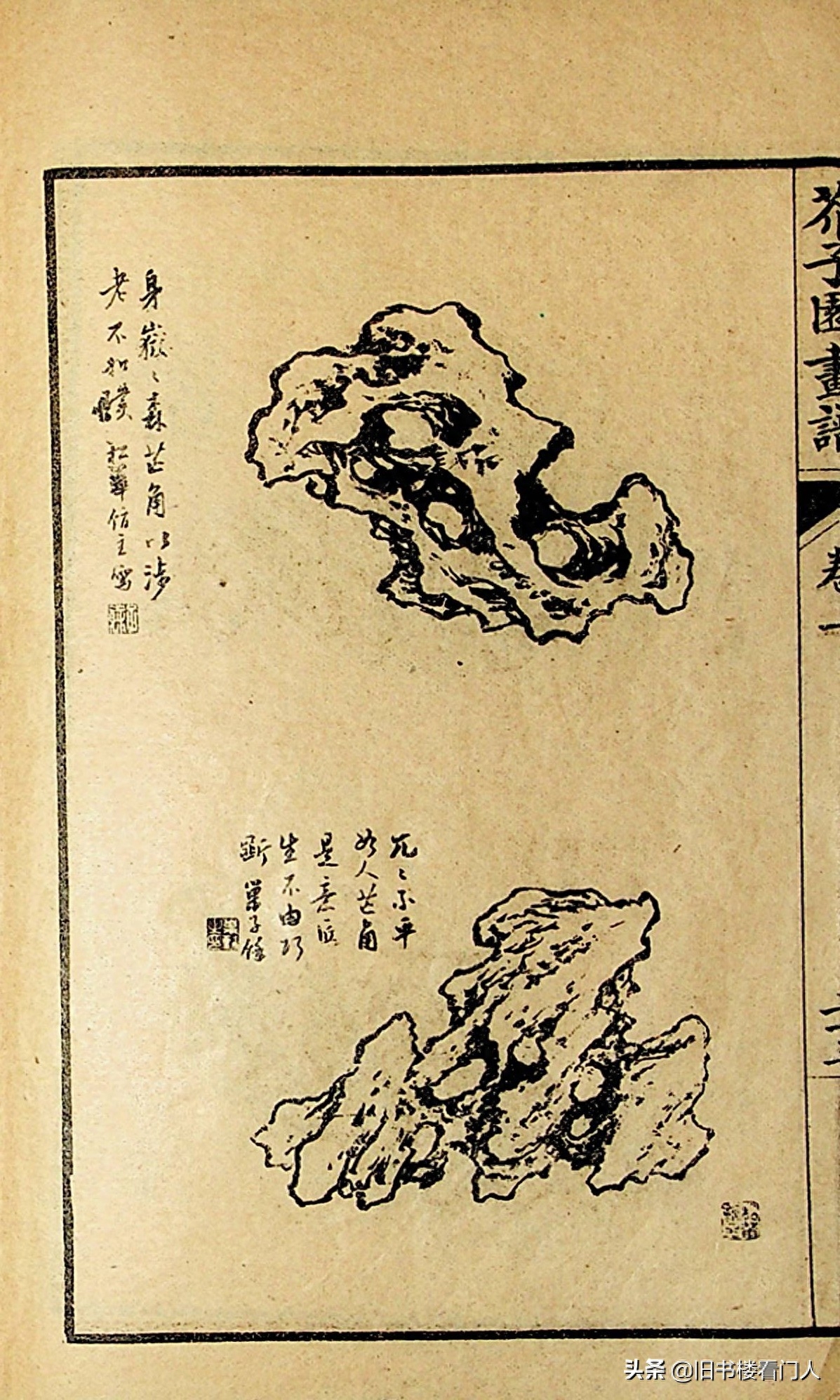 艺术类学画必修之书－《芥子园画谱·草虫花卉谱》