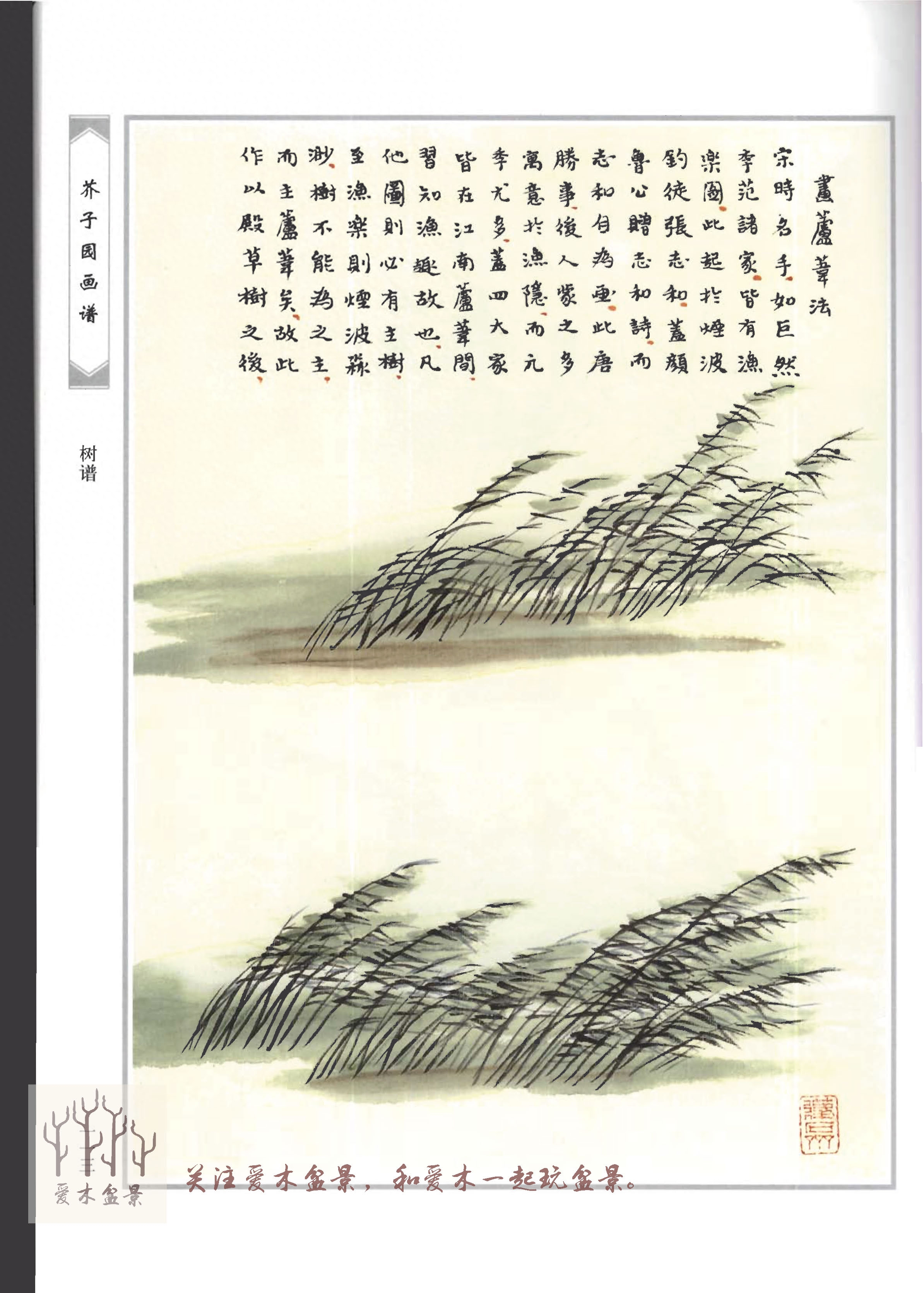 爱木盆景I《芥子园画谱-树谱》分享结文，盆景造型值得参考的范例