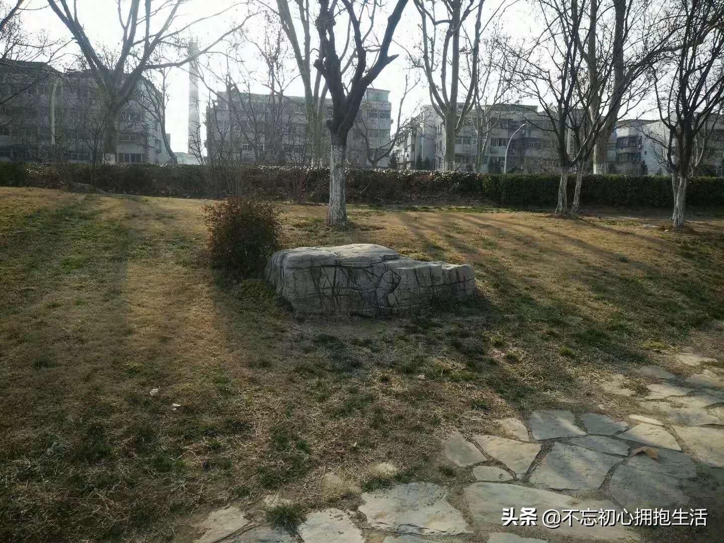 王敏骅说景石：草坪景观龟纹石图片，私藏了很久没有公开的图片